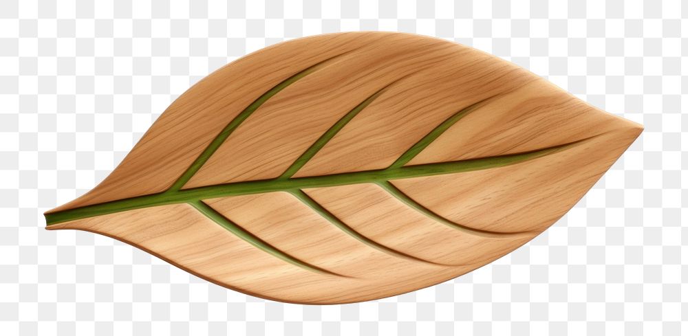 Leaf icon wood plant  