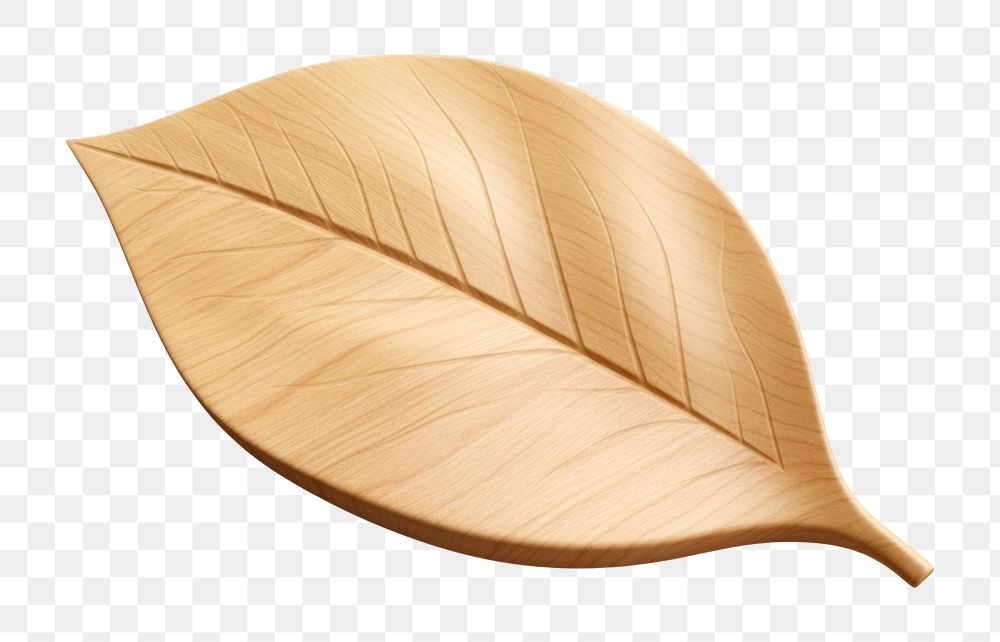 Leaf icon wood plant white background. AI generated Image by rawpixel.