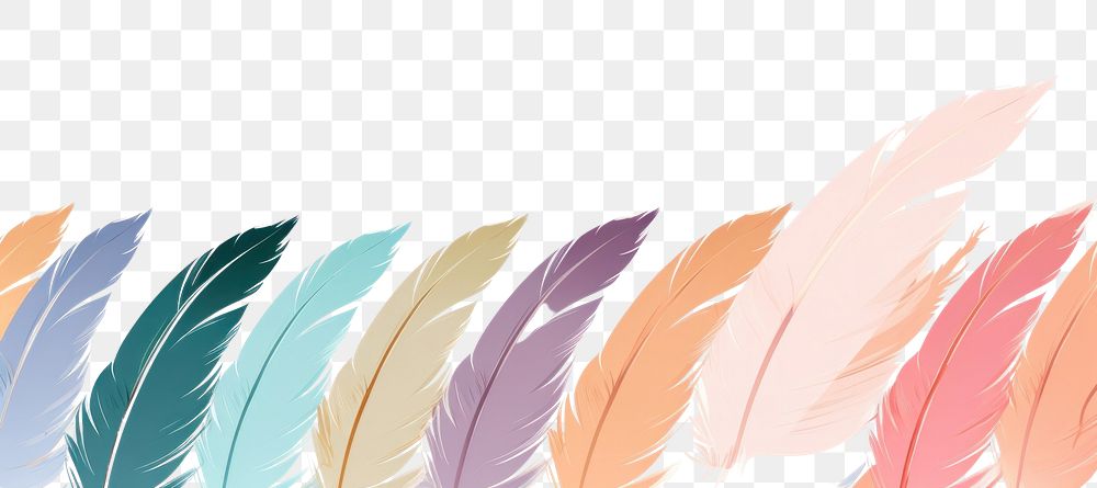 PNG Parrot feather border for website pattern lightweight backgrounds. AI generated Image by rawpixel.