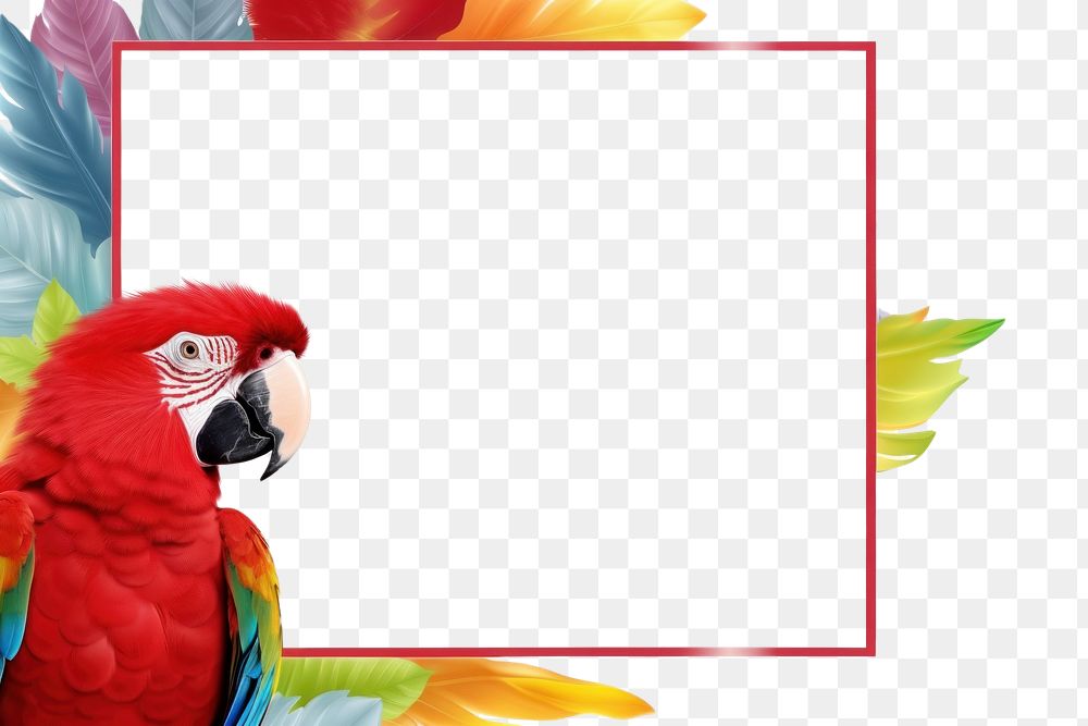 PNG Parrot feather animal bird. AI generated Image by rawpixel.