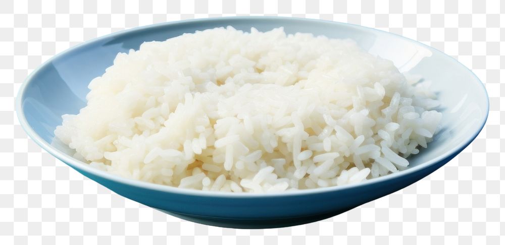 PNG Rice plate food blue. AI generated Image by rawpixel.