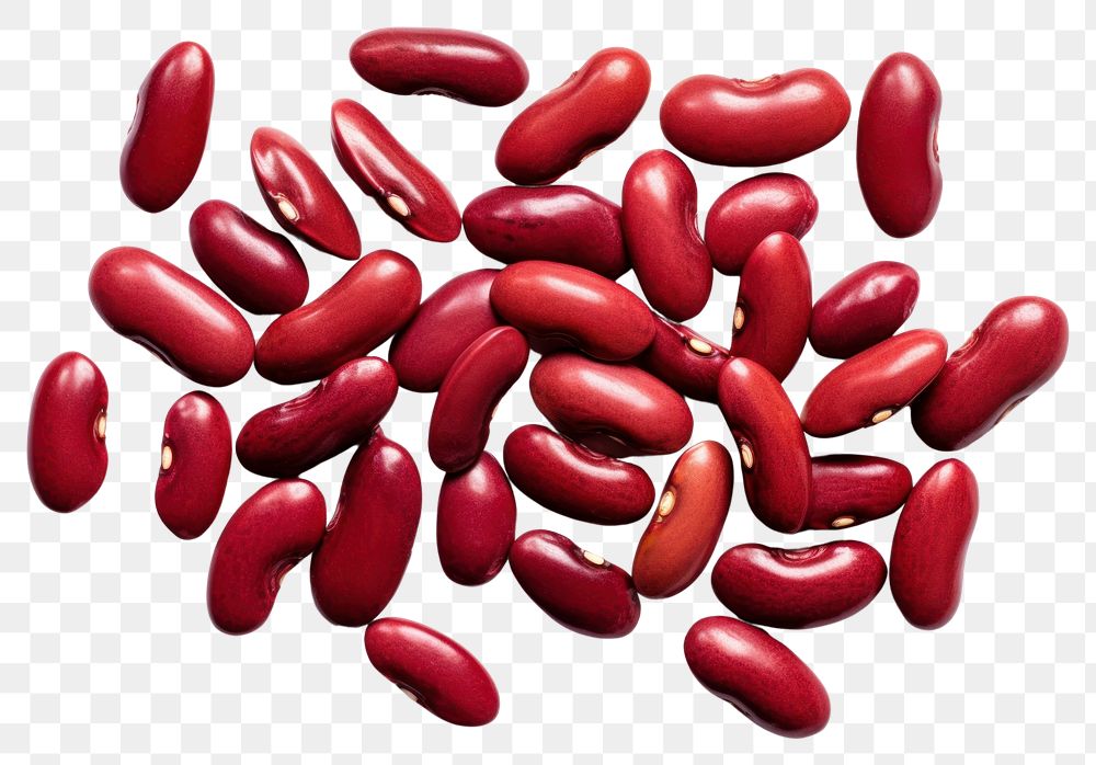 PNG  Food bean red white background. AI generated Image by rawpixel.