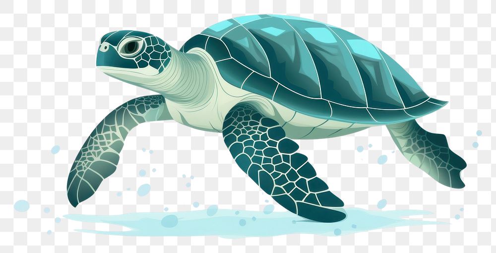 PNG Sea turtle reptile animal | Premium PNG - rawpixel