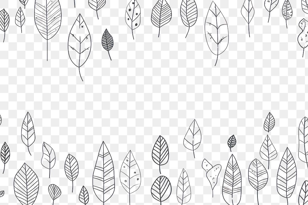 PNG Minimal illustration of leaves border drawing backgrounds sketch. AI generated Image by rawpixel.