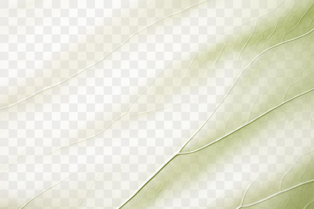 PNG Leave texture plant leaf backgrounds. AI generated Image by rawpixel.