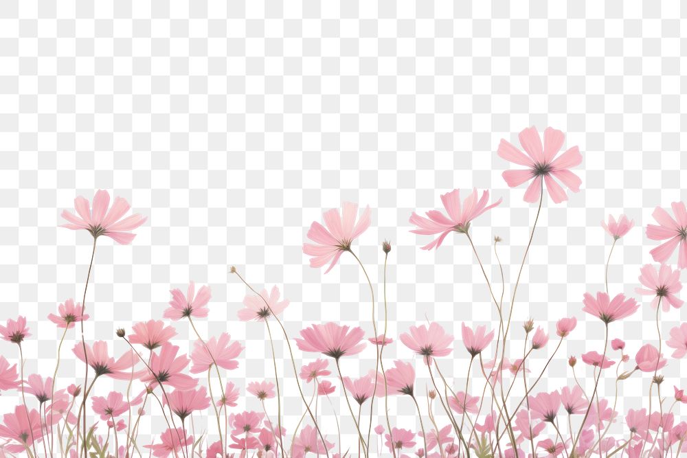 PNG Flower background backgrounds landscape outdoors. AI generated Image by rawpixel.