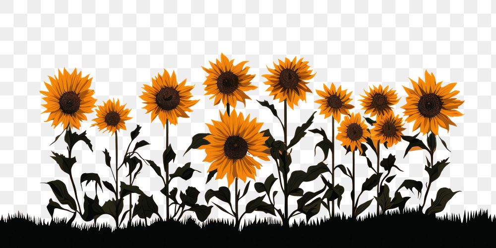 PNG Sunflowers landscape silhouette outdoors. AI generated Image by rawpixel.