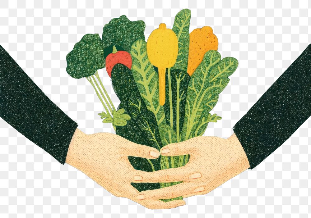 PNG Hands holding vegetables flower plant adult. AI generated Image by rawpixel.
