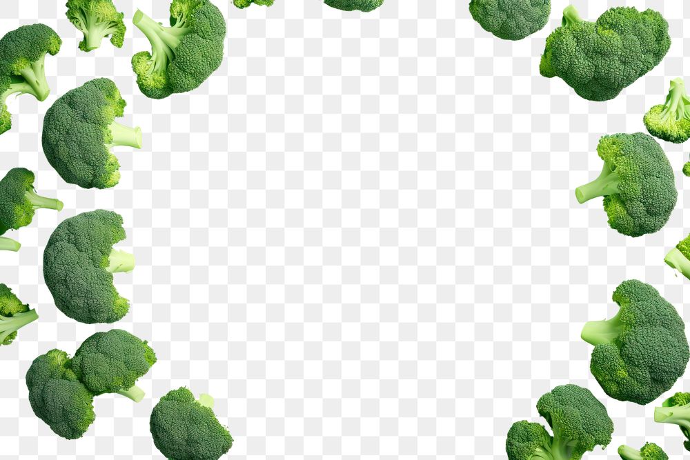 PNG  Broccoli backgrounds vegetable green. AI generated Image by rawpixel.