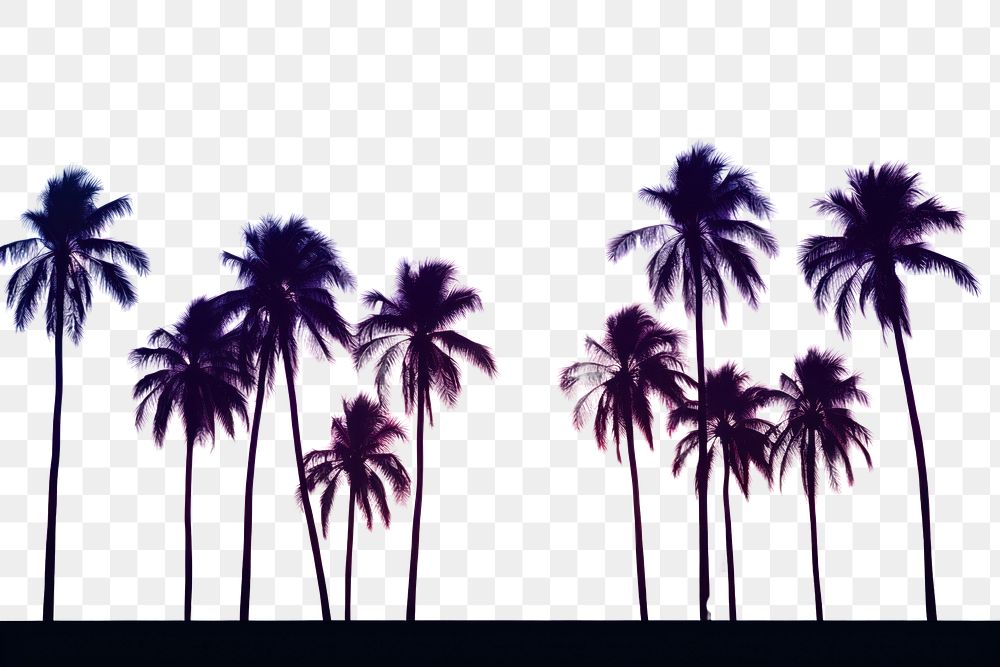 PNG Palm trees summer purple silhouette. AI generated Image by rawpixel.