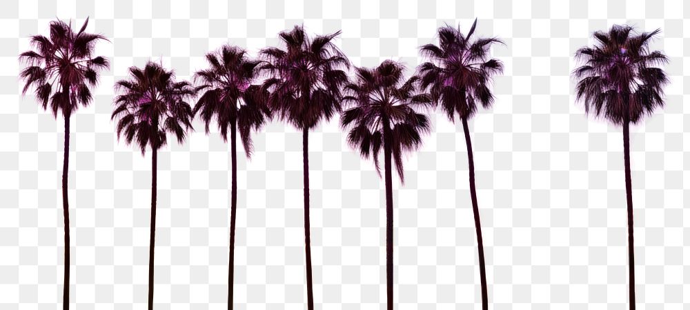 PNG Palm trees silhouette landscape outdoors. AI generated Image by rawpixel.