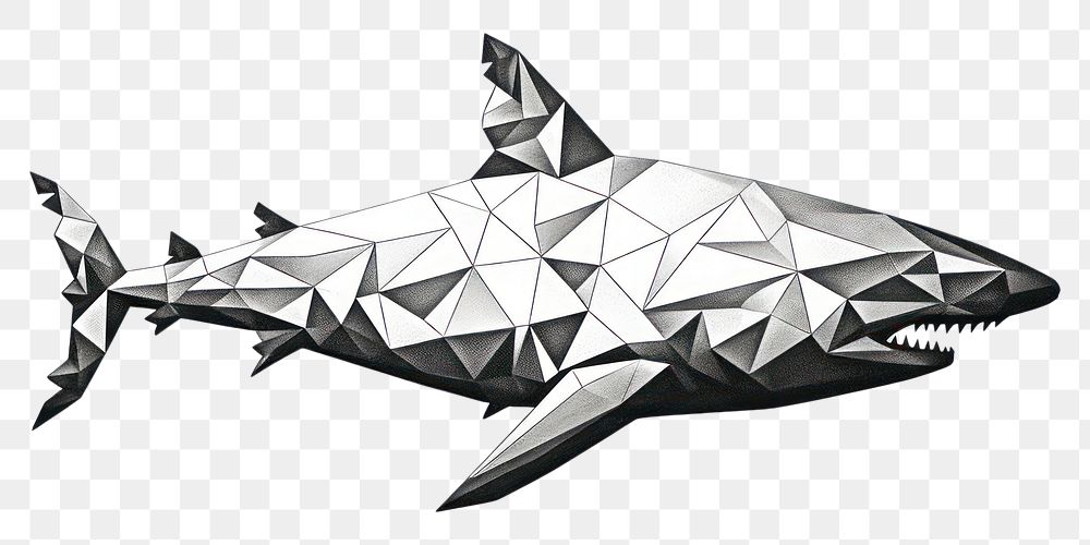 PNG Shark drawing animal sketch. AI generated Image by rawpixel.