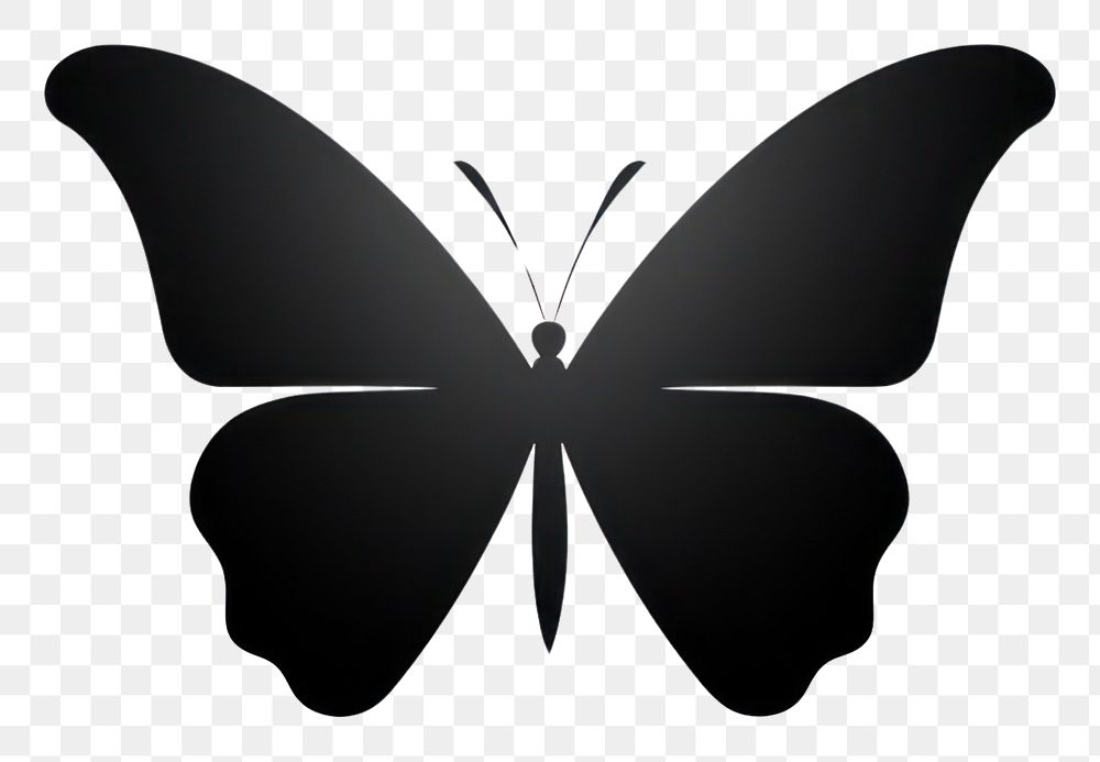 PNG Butterfly animal black white. AI generated Image by rawpixel.