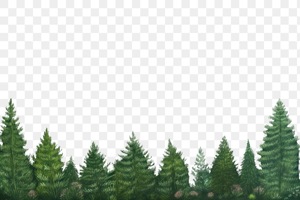 PNG Forest green backgrounds outdoors. AI generated Image by rawpixel.