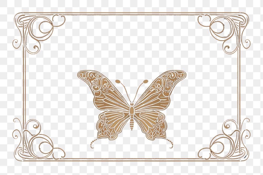 PNG Butterfly pattern animal art. AI generated Image by rawpixel.