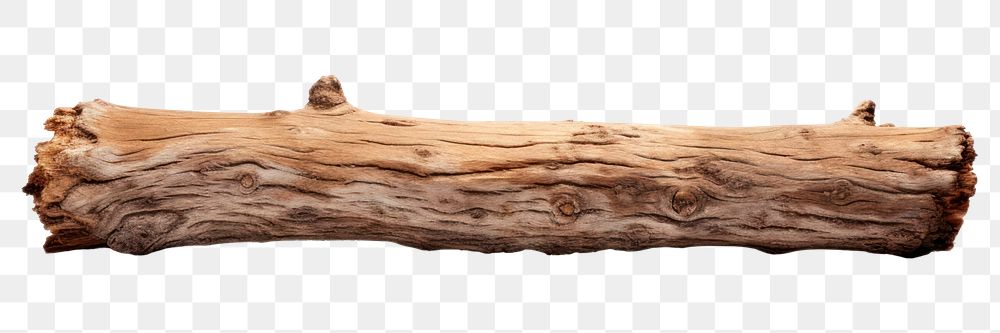 PNG Log wood driftwood white background