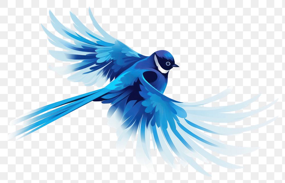 PNG Blue bird animal white background wildlife. AI generated Image by rawpixel.