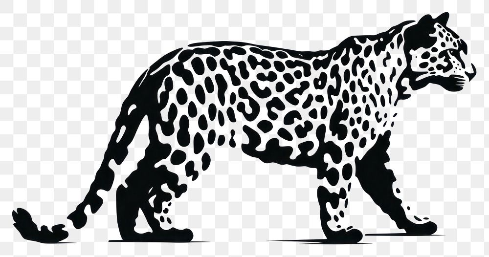 PNG Leopard pattern on brush stroke wildlife cheetah animal. 