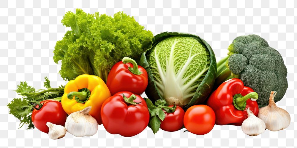 PNG Collection of different vegetables tomato plant food. AI generated Image by rawpixel.
