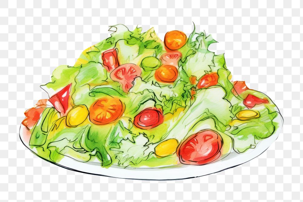 PNG Salad vegetable lettuce food. AI generated Image by rawpixel.