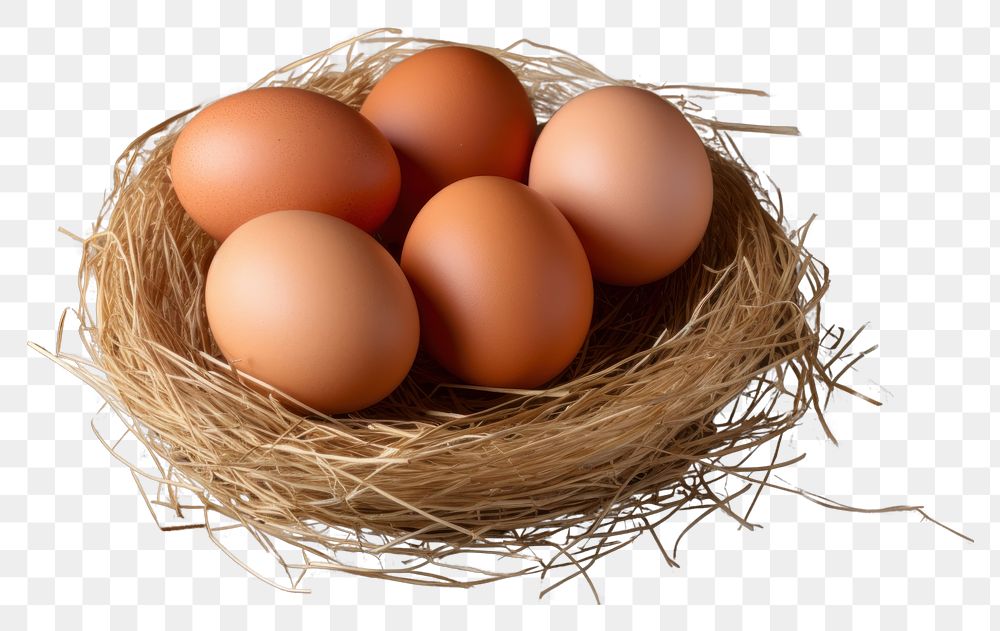 PNG  Eggs food wood hay. AI generated Image by rawpixel.