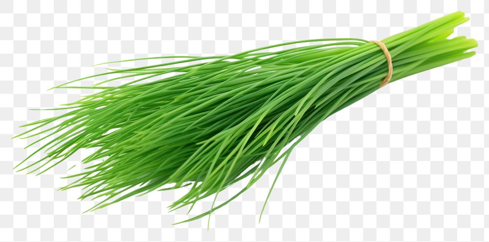 PNG Fresh chives vegetable plant food. AI generated Image by rawpixel.