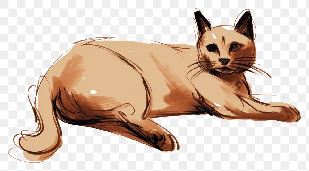 PNG Cat drawing sketch animal. AI generated Image by rawpixel.