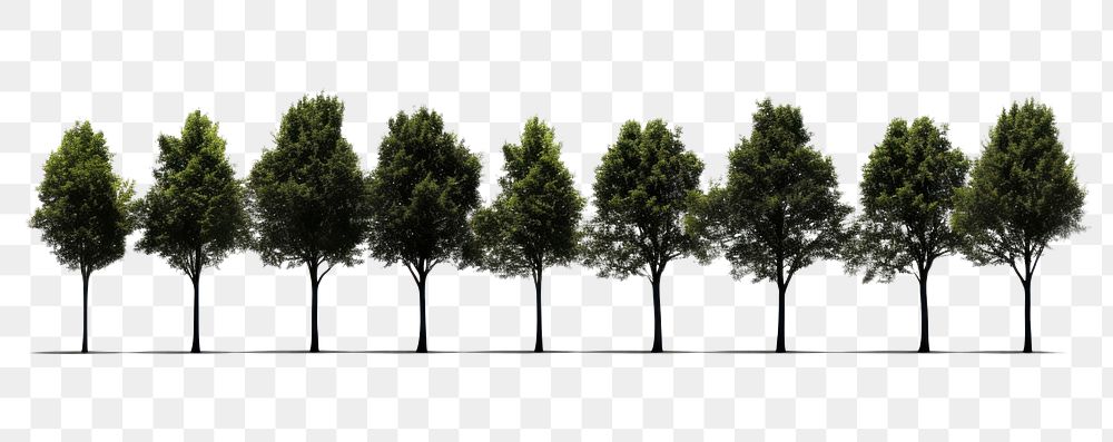 PNG Tree line outdoors nature plant. AI generated Image by rawpixel.