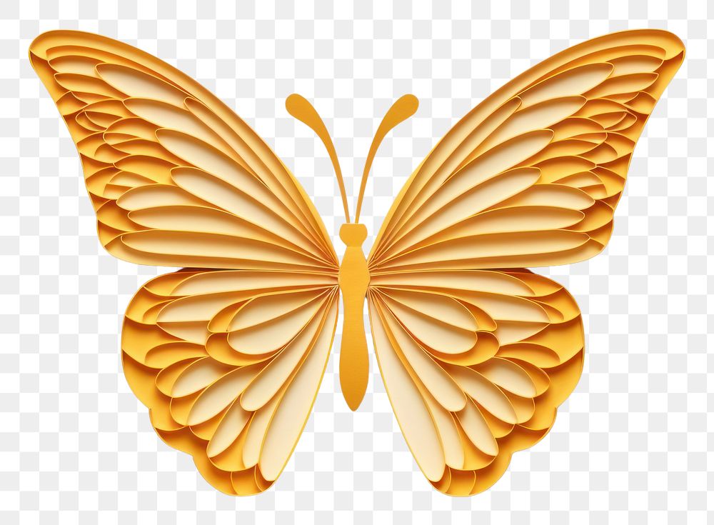 PNG A butterfly animal insect white background. AI generated Image by rawpixel.