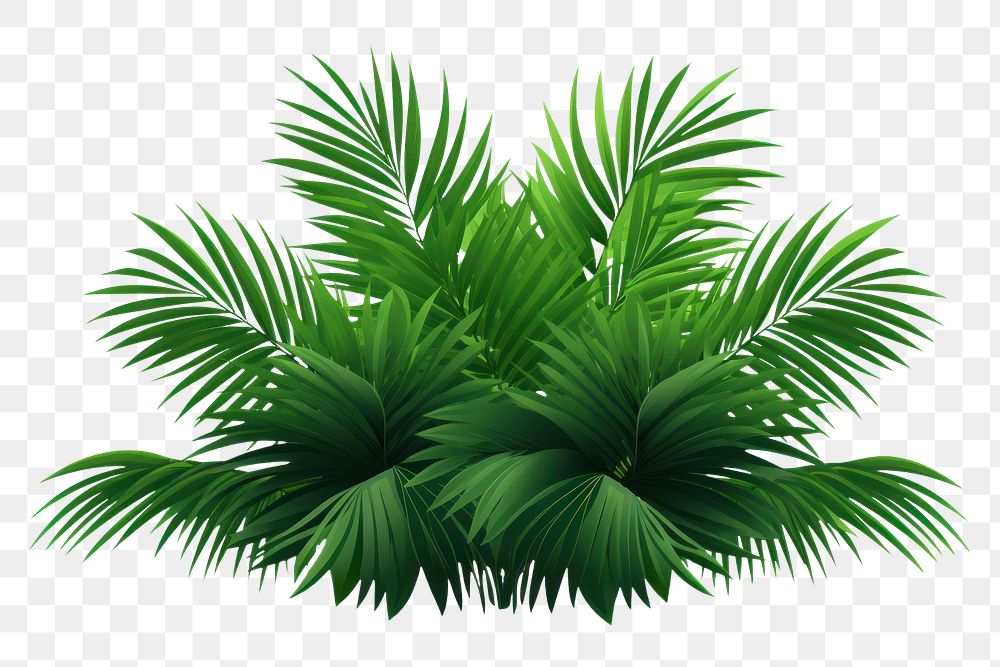 PNG Bush of tropical palm leaves vegetation outdoors nature. AI generated Image by rawpixel.