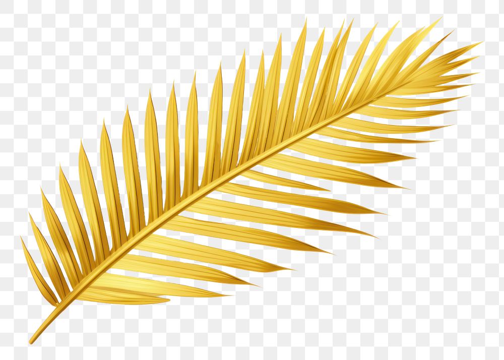 PNG Golden tropical palm leaf nature plant white background. AI generated Image by rawpixel.