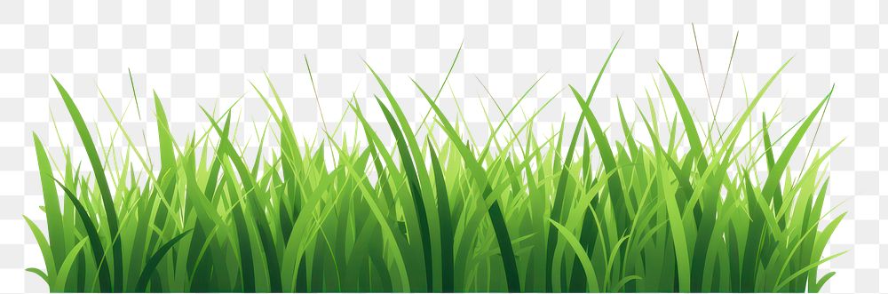 PNG A green grass field plant lawn white background. AI generated Image by rawpixel.