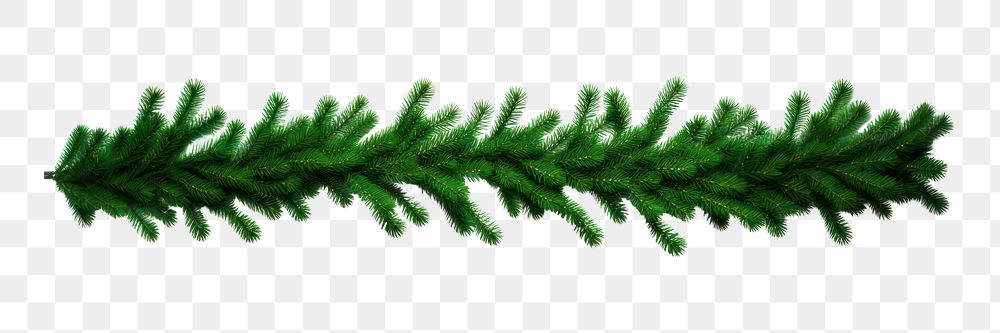 PNG  A Christmas garland from green pine twigs decoration christmas spruce. AI generated Image by rawpixel.