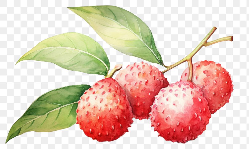 PNG Fruit strawberry plant food. AI generated Image by rawpixel.