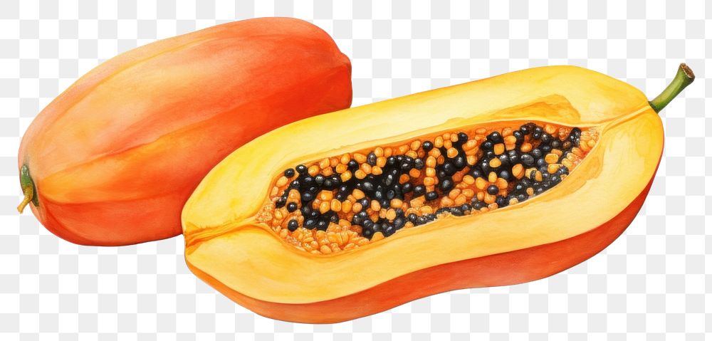 PNG Fruit papaya plant food. AI generated Image by rawpixel.