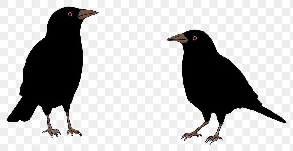 PNG Bird silhouette blackbird cartoon. AI generated Image by rawpixel.