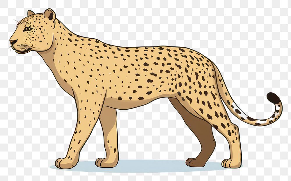 PNG Leopard wildlife cheetah cartoon. AI generated Image by rawpixel.