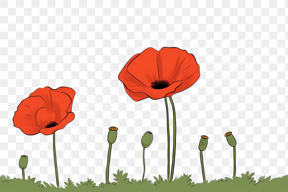 PNG Poppy cartoon flower plant. AI generated Image by rawpixel.