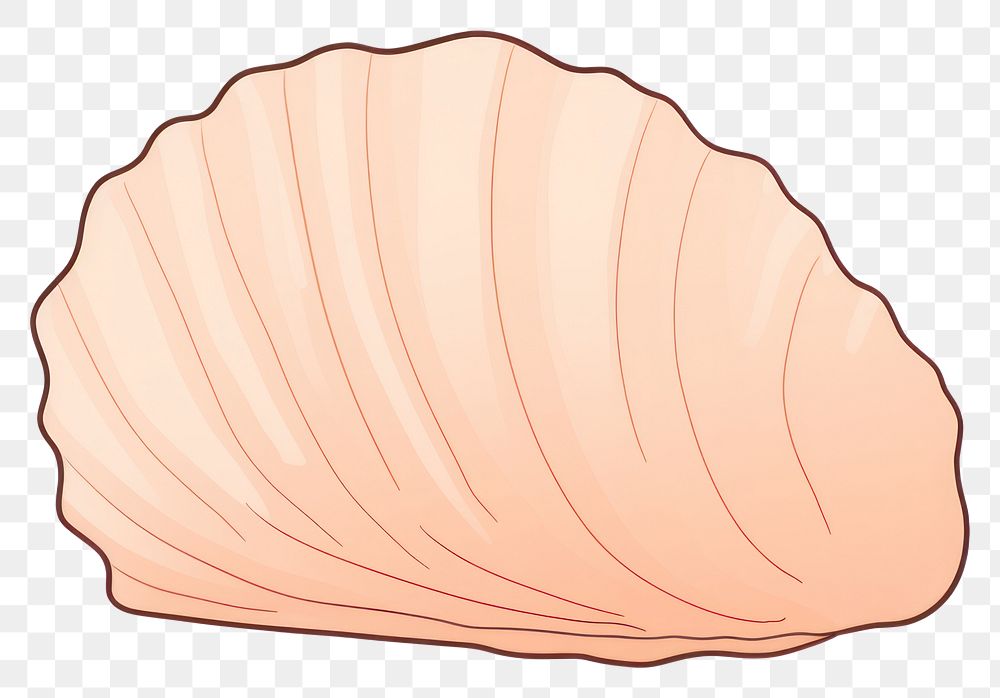 PNG Shell clam invertebrate shellfish. AI generated Image by rawpixel.