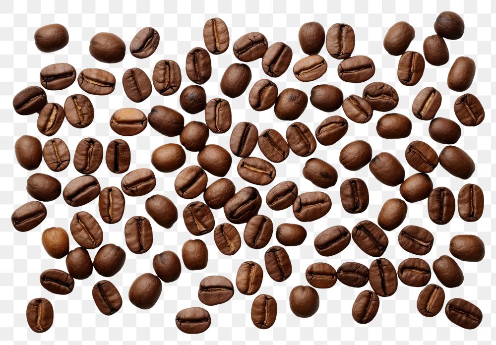 PNG  A lot of brown coffee beans backgrounds food white background. AI generated Image by rawpixel.