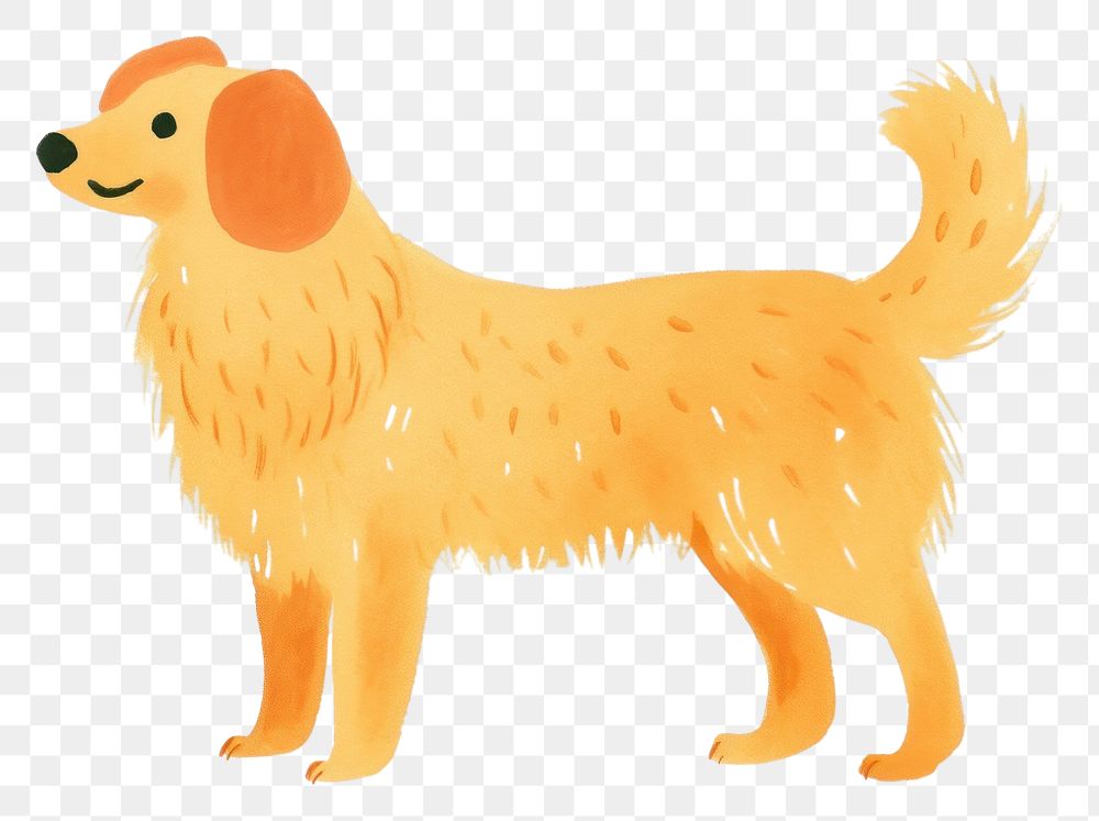 PNG Golden retriever animal mammal pet. AI generated Image by rawpixel.