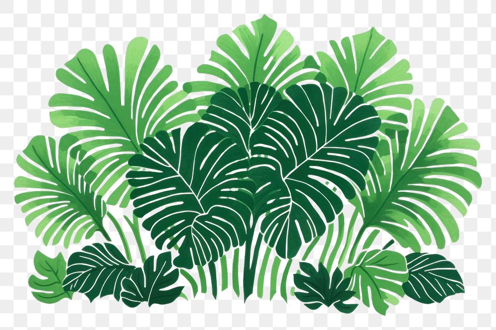 PNG Rainforest backgrounds nature plant. AI generated Image by rawpixel.