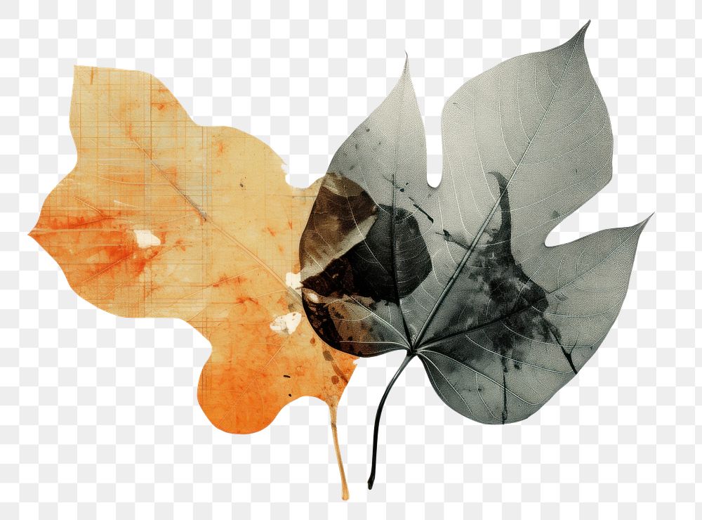 PNG Leaf plant paper art. AI generated Image by rawpixel.
