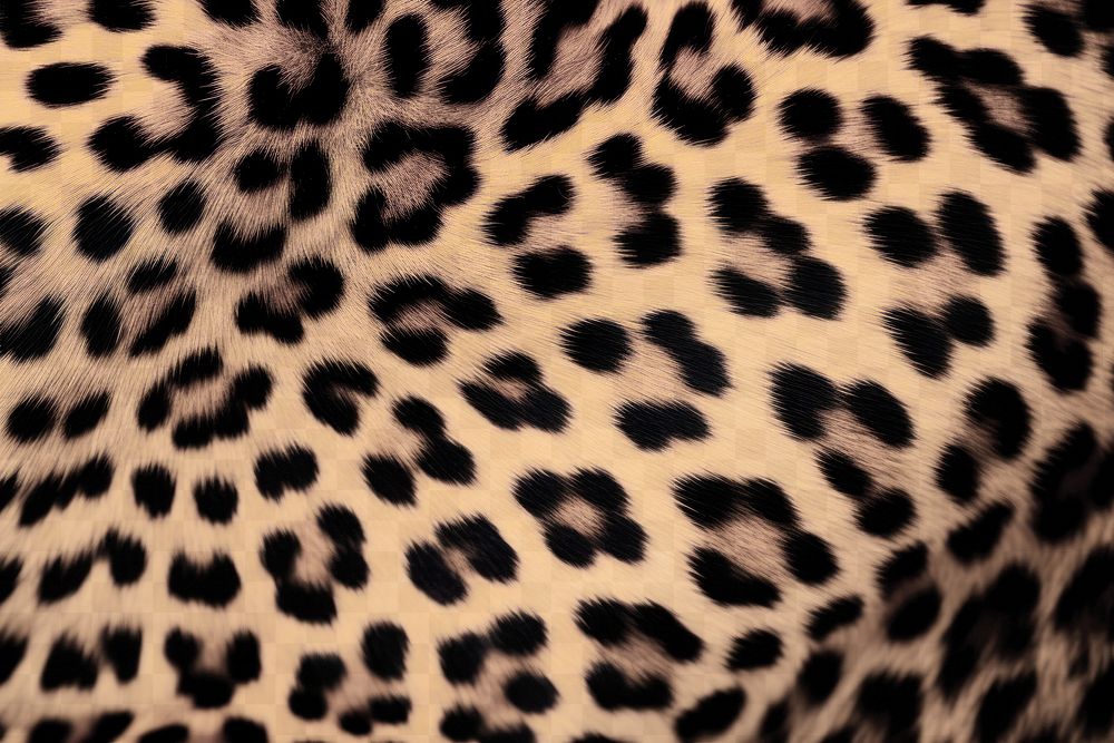 PNG Leopard skin wildlife cheetah backgrounds. AI generated Image by rawpixel.