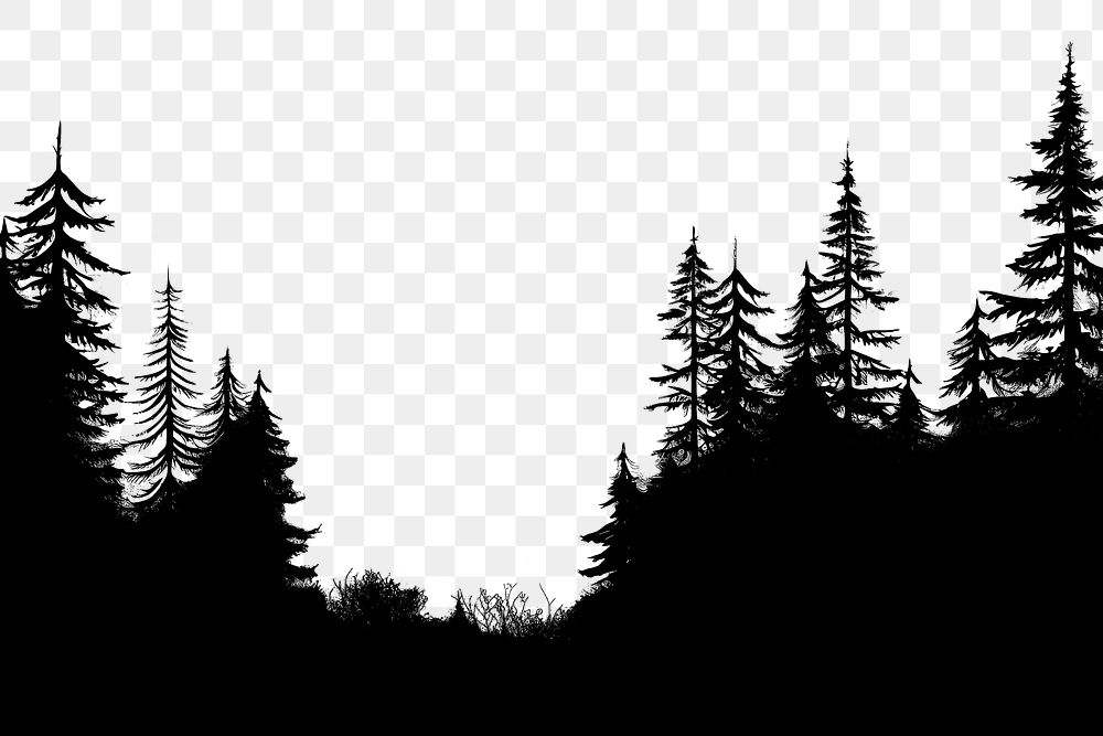 PNG  Coniferous forest silhouette outdoors nature. 