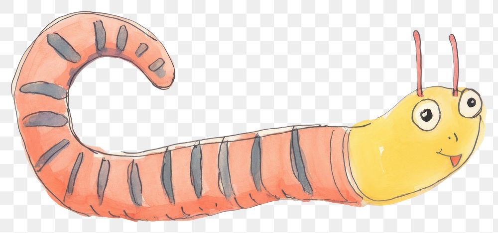 PNG Worm drawing animal sketch. 