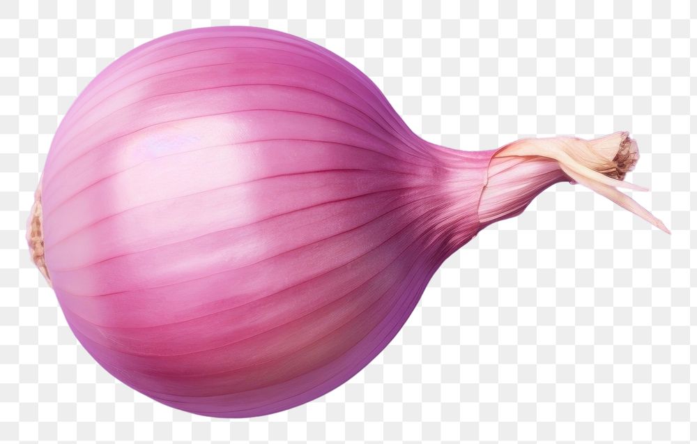 PNG  Onion vegetable shallot plant. AI generated Image by rawpixel.