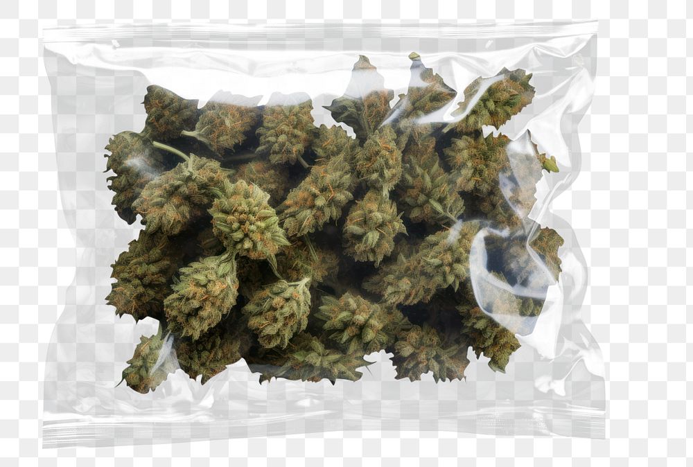 PNG  Cannabis in plastic bag plant food black background. AI generated Image by rawpixel.