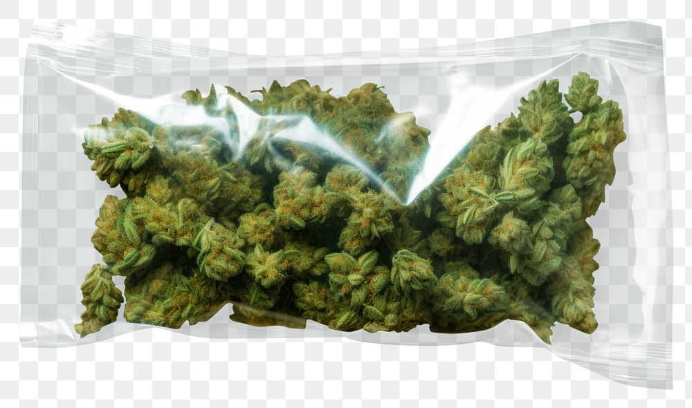 PNG  Cannabis in plastic bag plant narcotic medicine. AI generated Image by rawpixel.