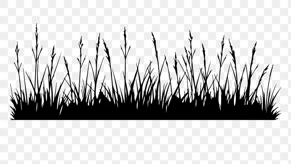 PNG  Grass plant white background tranquility.